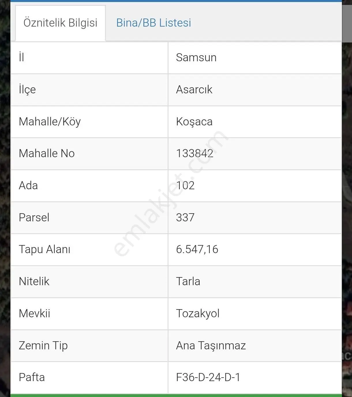 Truva/nazım Demirci'den Asarcık Koşaca Acil Satılık Fırsat Tarla — fotoğraf 5