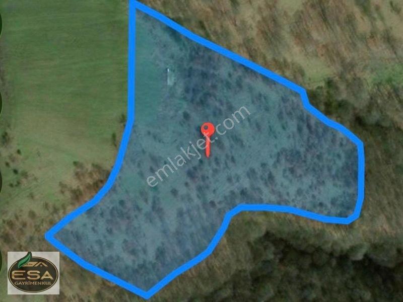 Balıkesir Karesi Taşkesiği'Nde Köye Yakın, Yatırımlık 13.564 M²