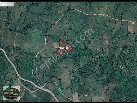 Balıkesir Karesi Taşkesiği'nde Köye Yakın, Yatırımlık 13.564 M² — fotoğraf 2