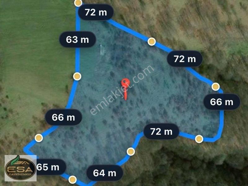 Balıkesir Karesi Taşkesiği'nde Köye Yakın, Yatırımlık 13.564 M² — fotoğraf 3