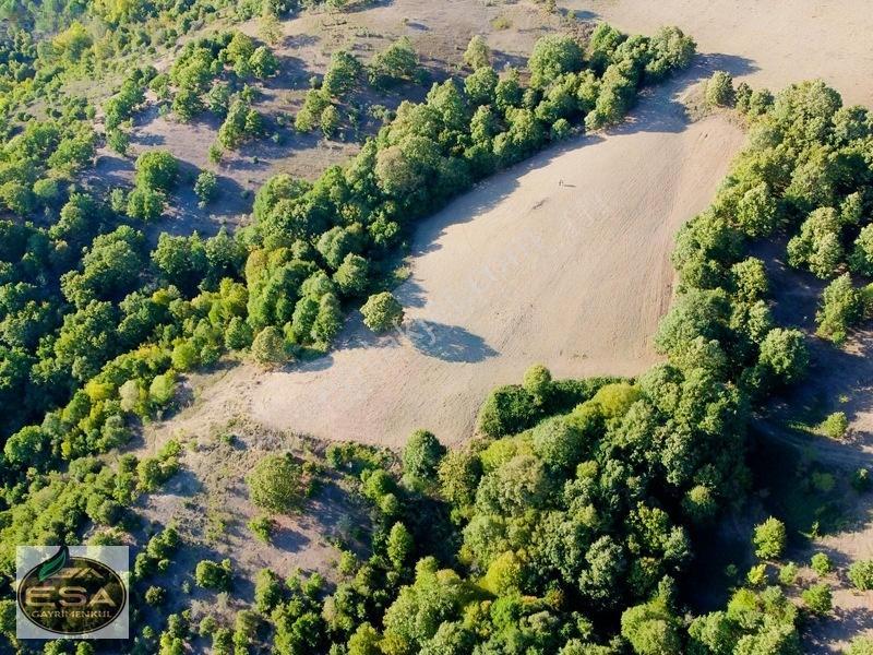 Balıkesir Karesi Taşkesiği'nde Köye Yakın, Yatırımlık 13.564 M² — fotoğraf 5