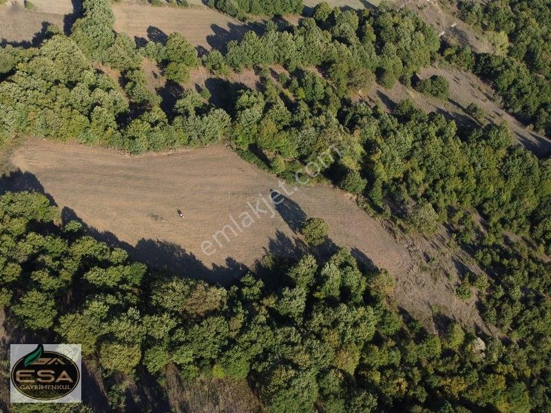 Balıkesir Karesi Taşkesiği'nde Köye Yakın, Yatırımlık 13.564 M² — fotoğraf 7