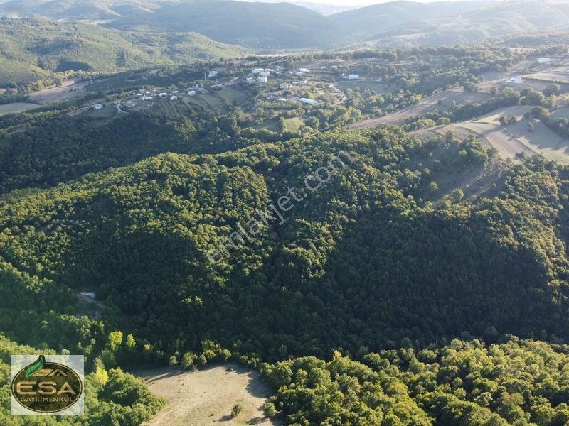 Balıkesir Karesi Taşkesiği'nde Köye Yakın, Yatırımlık 13.564 M² — fotoğraf 10