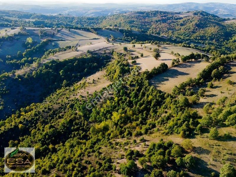 Balıkesir Karesi Taşkesiği'nde Köye Yakın, Yatırımlık 13.564 M² — fotoğraf 11