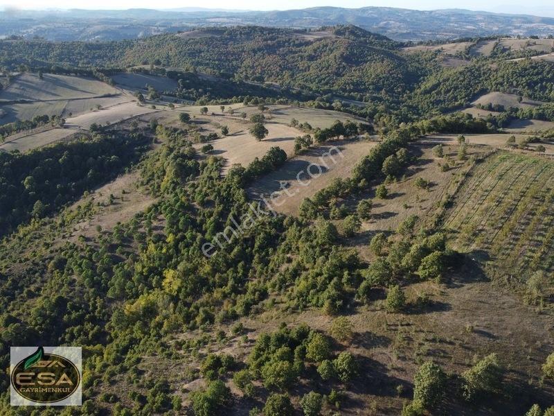 Balıkesir Karesi Taşkesiği'nde Köye Yakın, Yatırımlık 13.564 M² — fotoğraf 12