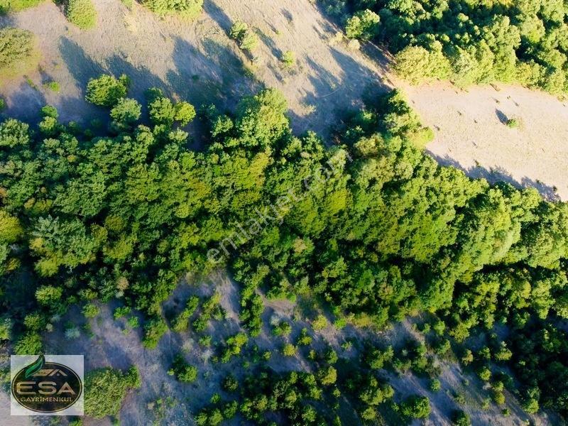 Balıkesir Karesi Taşkesiği'nde Köye Yakın, Yatırımlık 13.564 M² — fotoğraf 13