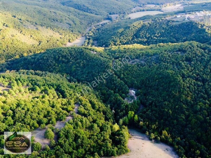 Balıkesir Karesi Taşkesiği'nde Köye Yakın, Yatırımlık 13.564 M² — fotoğraf 14