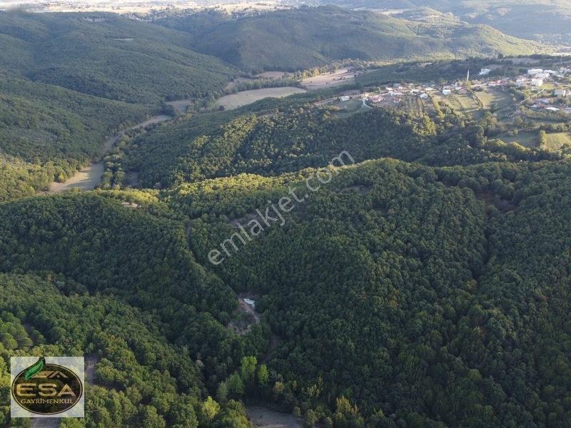 Balıkesir Karesi Taşkesiği'nde Köye Yakın, Yatırımlık 13.564 M² — fotoğraf 15