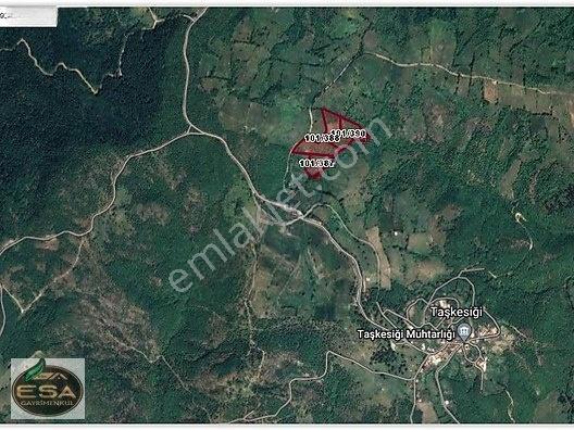 Balıkesir Karesi Taşkesiği'nde Köye Yakın, Yatırımlık 13.564 M² — fotoğraf 16