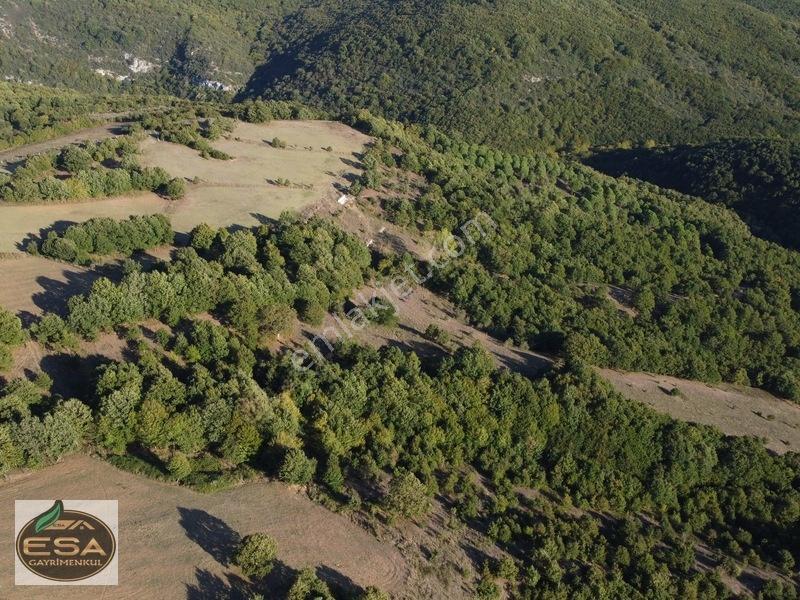 Balıkesir Karesi Taşkesiği'nde Köye Yakın, Yatırımlık 13.564 M² — fotoğraf 17