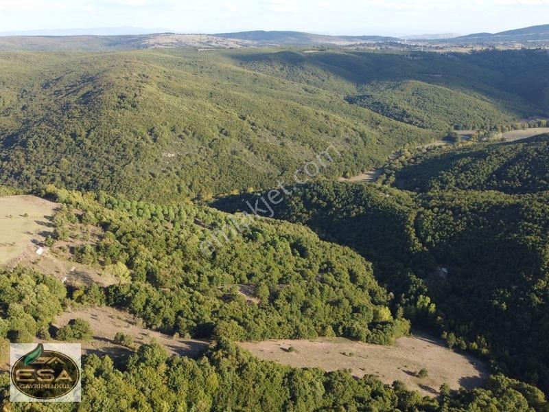 Balıkesir Karesi Taşkesiği'nde Köye Yakın, Yatırımlık 13.564 M² — fotoğraf 18