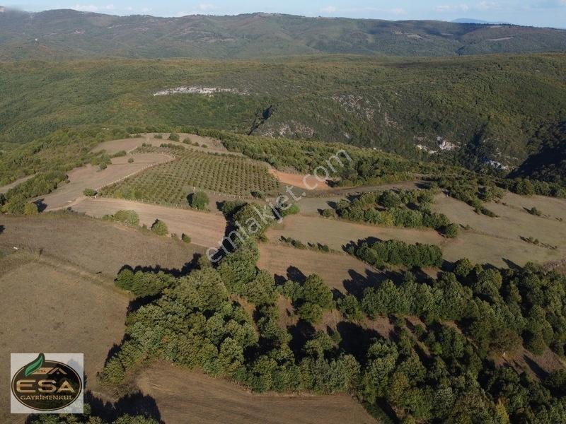 Balıkesir Karesi Taşkesiği'nde Köye Yakın, Yatırımlık 13.564 M² — fotoğraf 19
