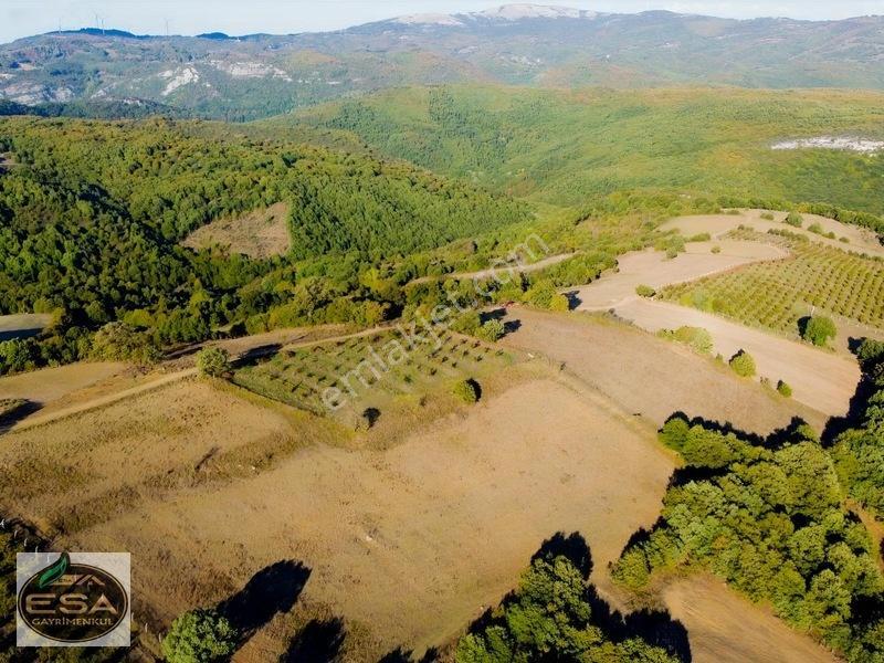 Balıkesir Karesi Taşkesiği'nde Köye Yakın, Yatırımlık 13.564 M² — fotoğraf 20