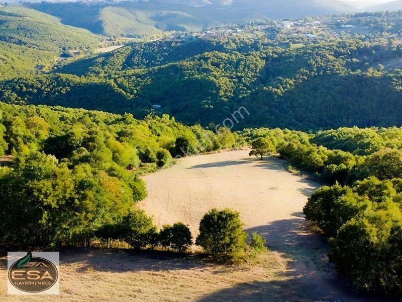 Balıkesir Karesi Taşkesiği'nde Köye Yakın, Yatırımlık 13.564 M² — fotoğraf 21