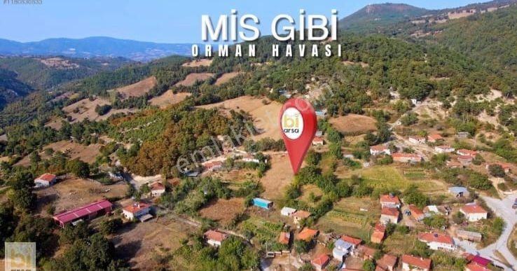 Çanakkale Yenice'de Kazdağlarının Eteklerinde Fırsat Arsa — fotoğraf 2