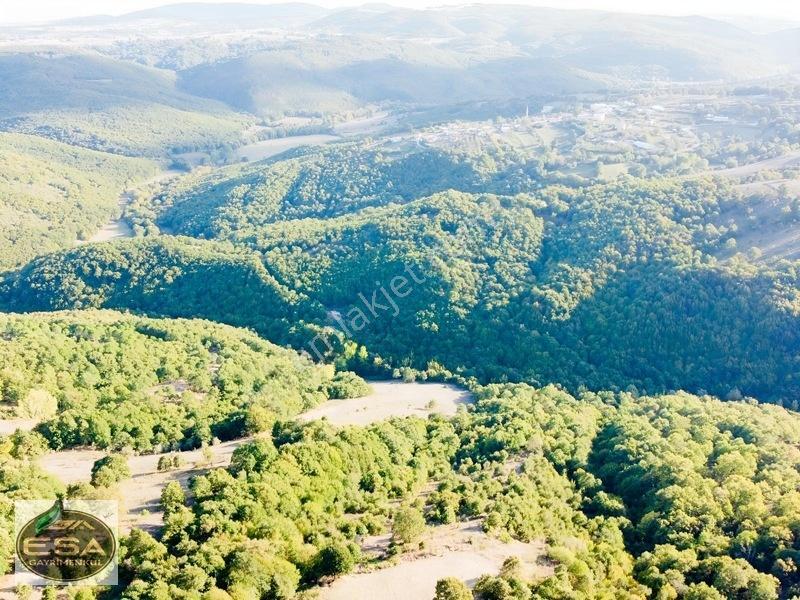 Balıkesir Karesi Taşkesiği'Nde 12,454 M2 Satılık Tarla