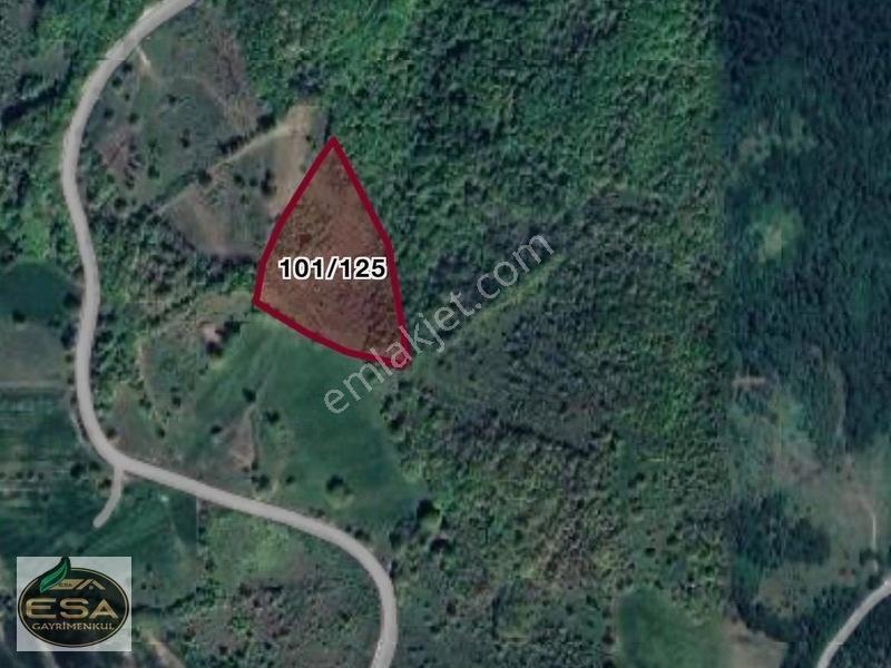Balıkesir Karesi Taşkesiği'nde 12,454 M2 Satılık Tarla — fotoğraf 2