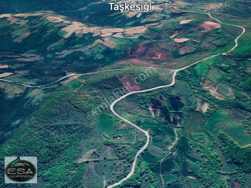 Balıkesir Karesi Taşkesiği'nde 12,454 M2 Satılık Tarla — fotoğraf 5
