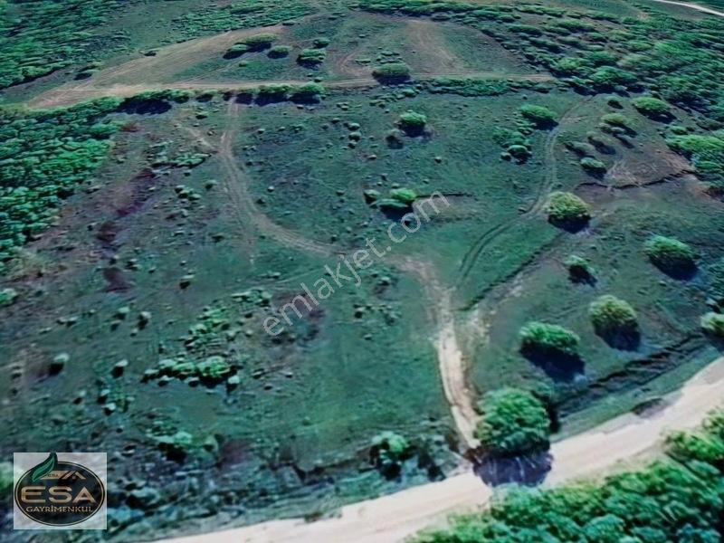 Balıkesir Karesi Taşkesiği'nde 12,454 M2 Satılık Tarla — fotoğraf 6