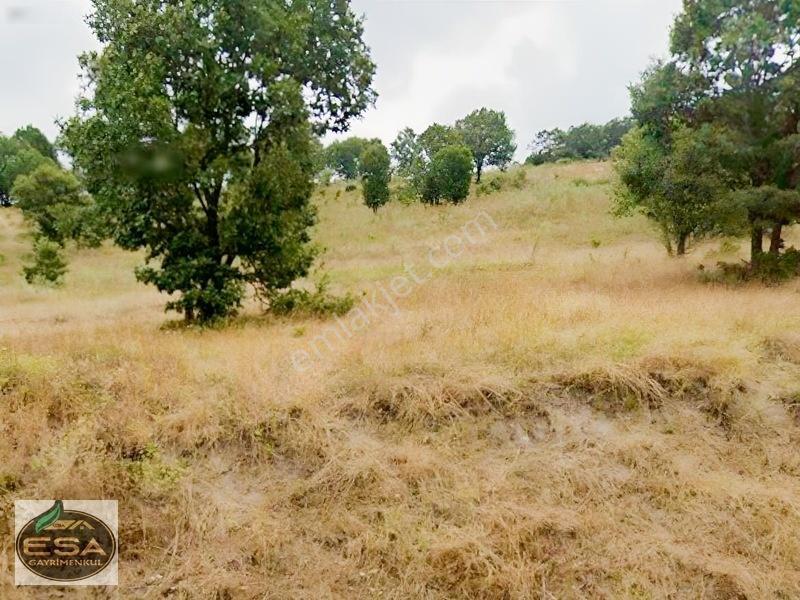 Balıkesir Karesi Taşkesiği'nde 12,454 M2 Satılık Tarla — fotoğraf 7