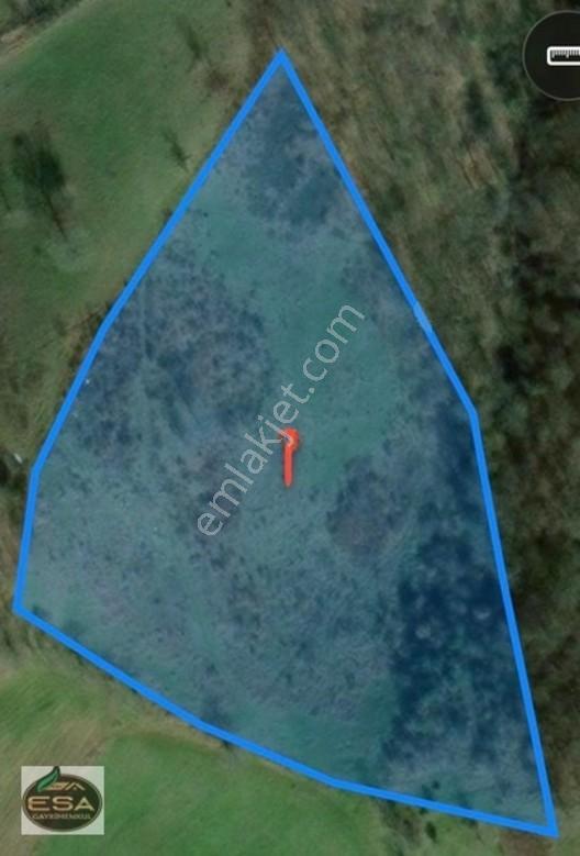 Balıkesir Karesi Taşkesiği'nde 12,454 M2 Satılık Tarla — fotoğraf 8