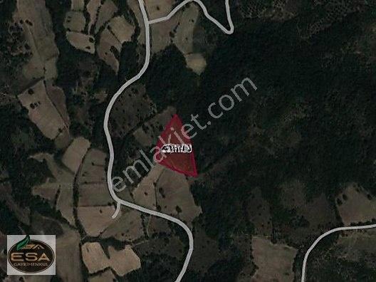 Balıkesir Karesi Taşkesiği'nde 12,454 M2 Satılık Tarla — fotoğraf 9
