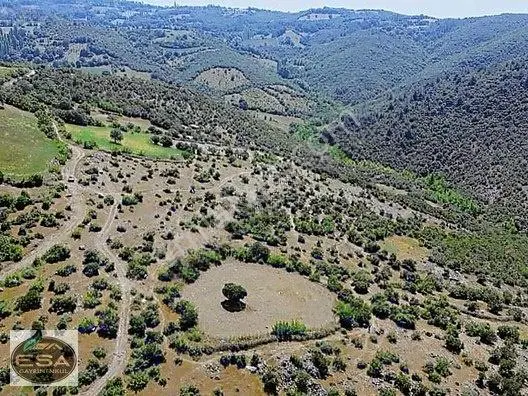 Balıkesir Kepsut Sayacık'da 1229 M2 Satılık Tarla — fotoğraf 4
