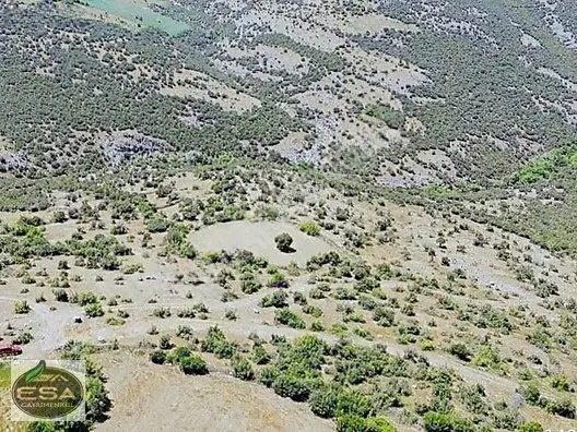 Balıkesir Kepsut Sayacık'da 1229 M2 Satılık Tarla — fotoğraf 5