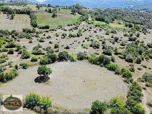 Balıkesir Kepsut Sayacık'da 1229 M2 Satılık Tarla — fotoğraf 6