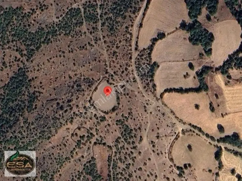 Balıkesir Kepsut Sayacık'da 1229 M2 Satılık Tarla — fotoğraf 8