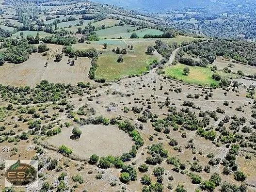 Balıkesir Kepsut Sayacık'da 1229 M2 Satılık Tarla — fotoğraf 12