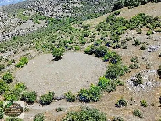 Balıkesir Kepsut Sayacık'da 1229 M2 Satılık Tarla — fotoğraf 13