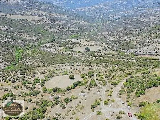 Balıkesir Kepsut Sayacık'da 1229 M2 Satılık Tarla — fotoğraf 14