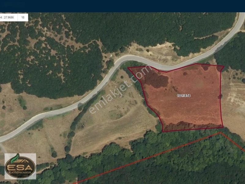 Taşkesiğinde Anayola Cepheli Orman Manzaralı 13.878 M2 Satılık — fotoğraf 2