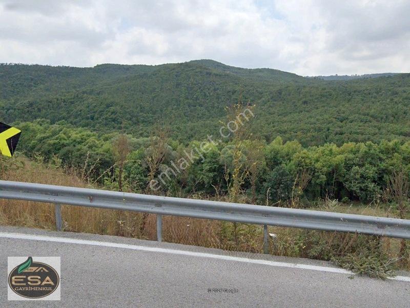 Taşkesiğinde Anayola Cepheli Orman Manzaralı 13.878 M2 Satılık — fotoğraf 5