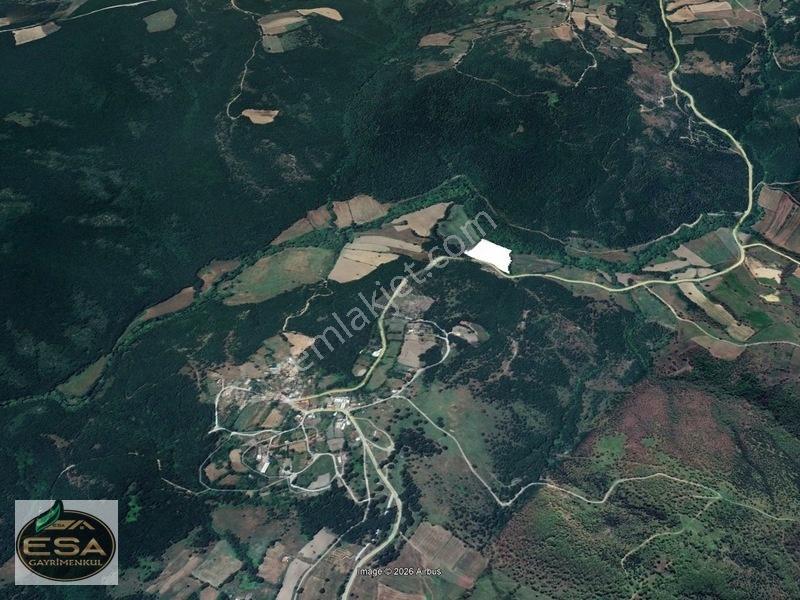 Taşkesiğinde Anayola Cepheli Orman Manzaralı 13.878 M2 Satılık — fotoğraf 6