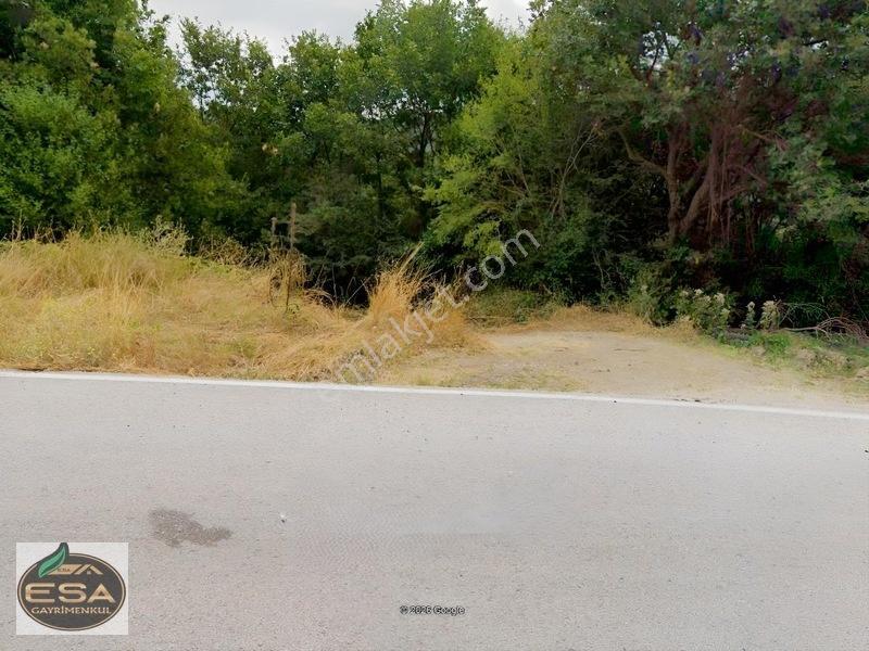 Karesi Taşkesiği'nde Köye Yakın, Yatırımlık 3.035 M² Satılık — fotoğraf 2