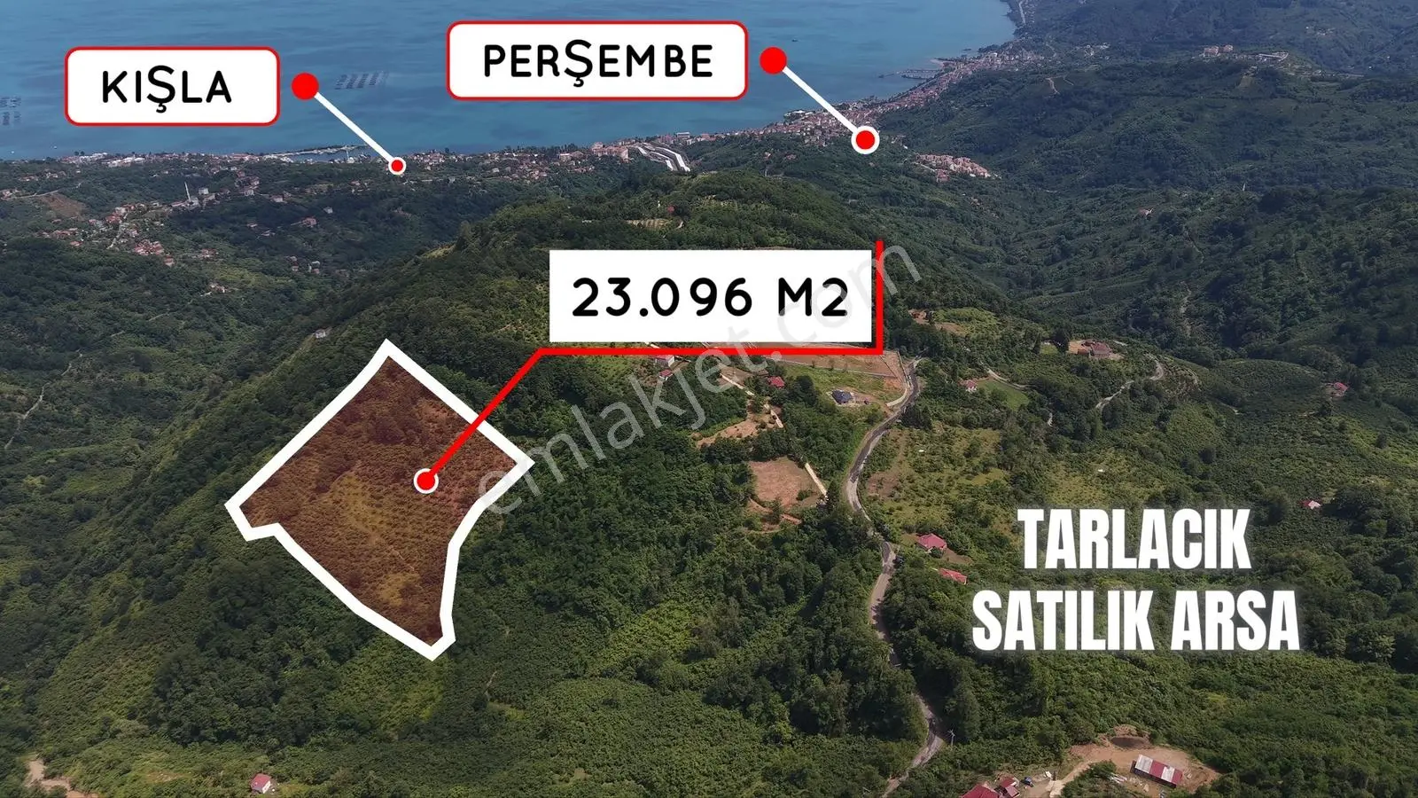 Perşembe Tarlacık'ta Satılık 23.096 M² Fındık Bahçesi Ve Tarla — fotoğraf 6