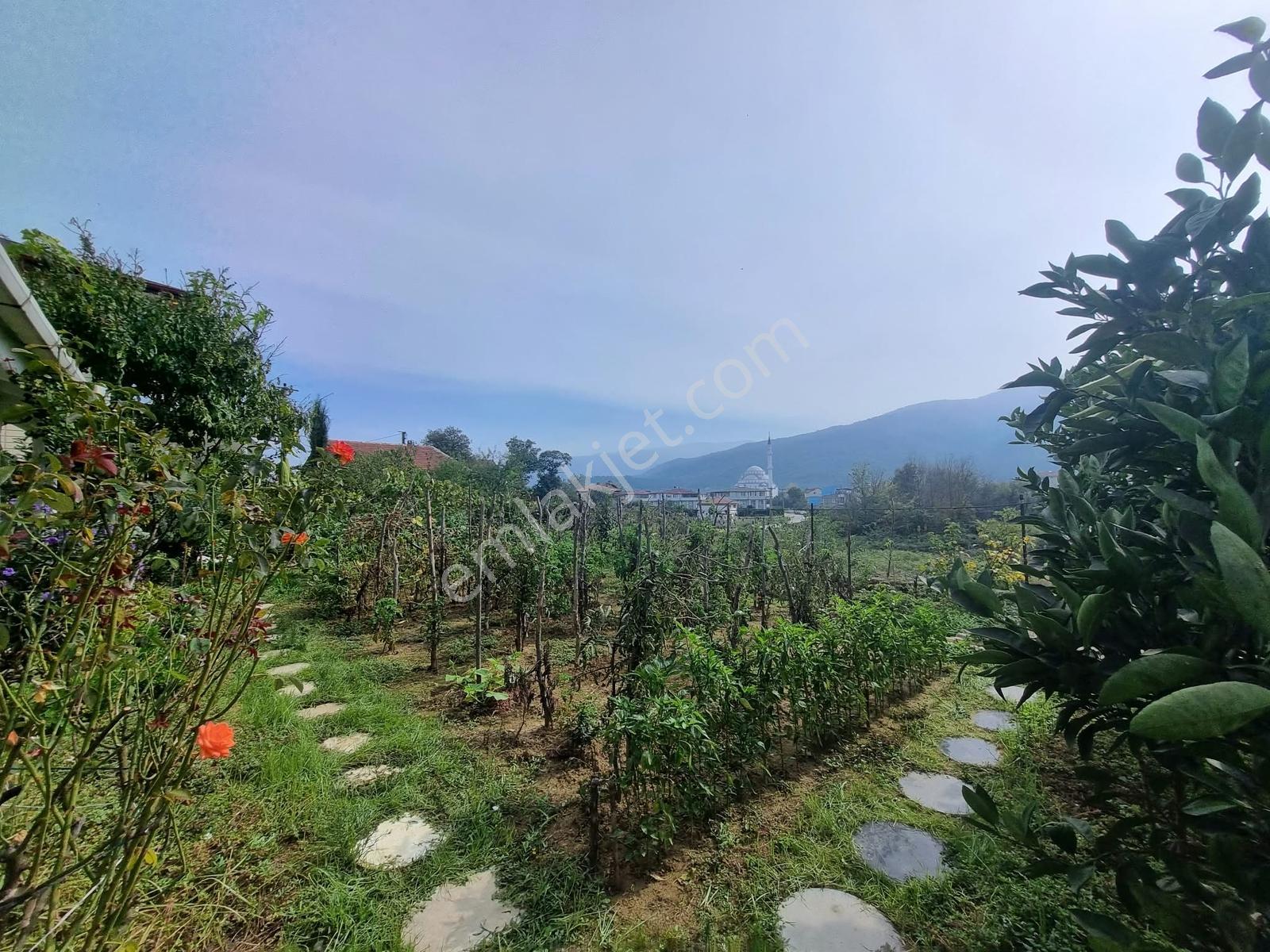 Turyaptan Çınarcık Yalı'da Denize 600 Mt Mesafede Müstakil Villa — fotoğraf 26
