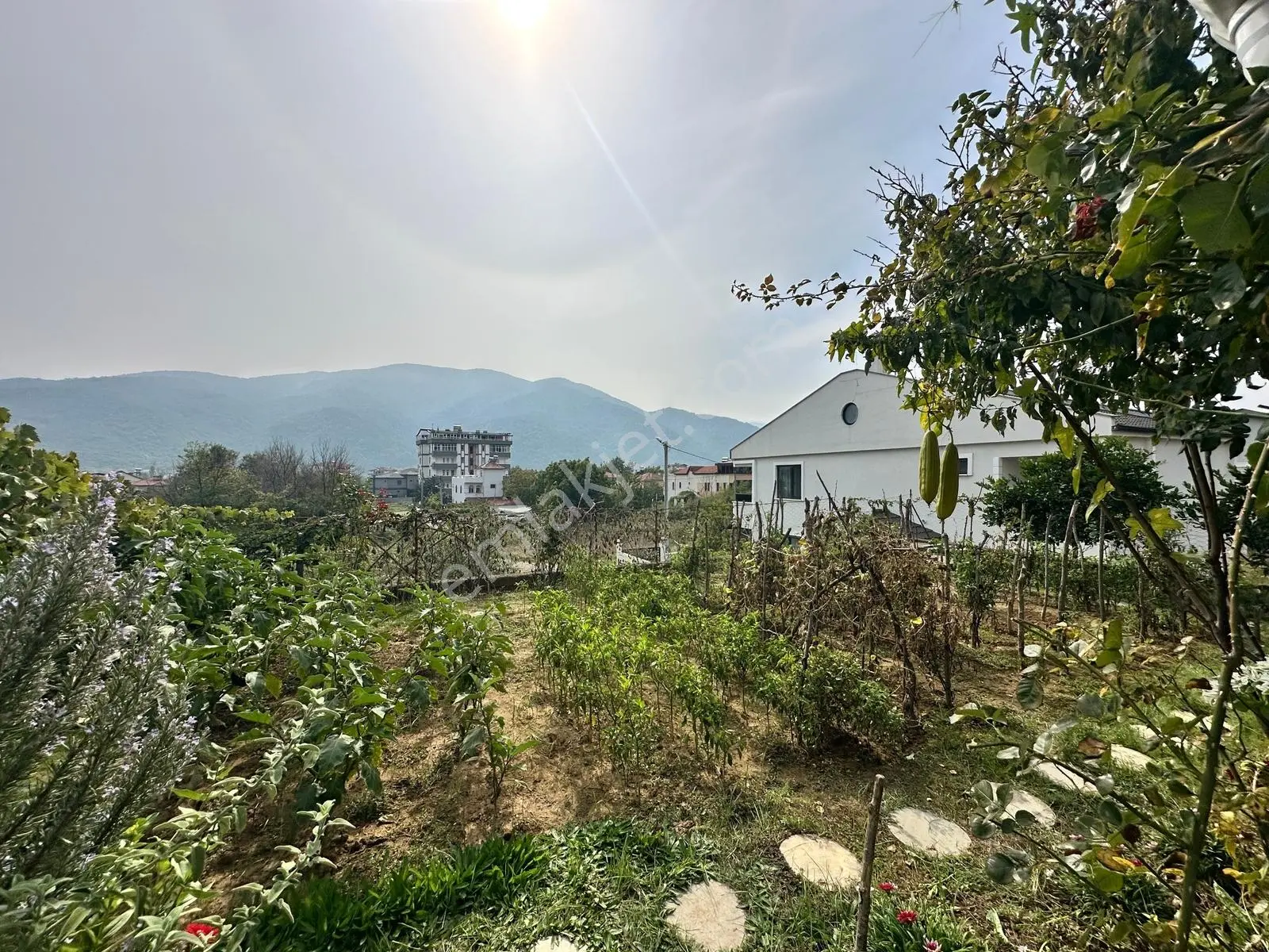 Turyaptan Çınarcık Yalı'da Denize 600 Mt Mesafede Müstakil Villa — fotoğraf 44