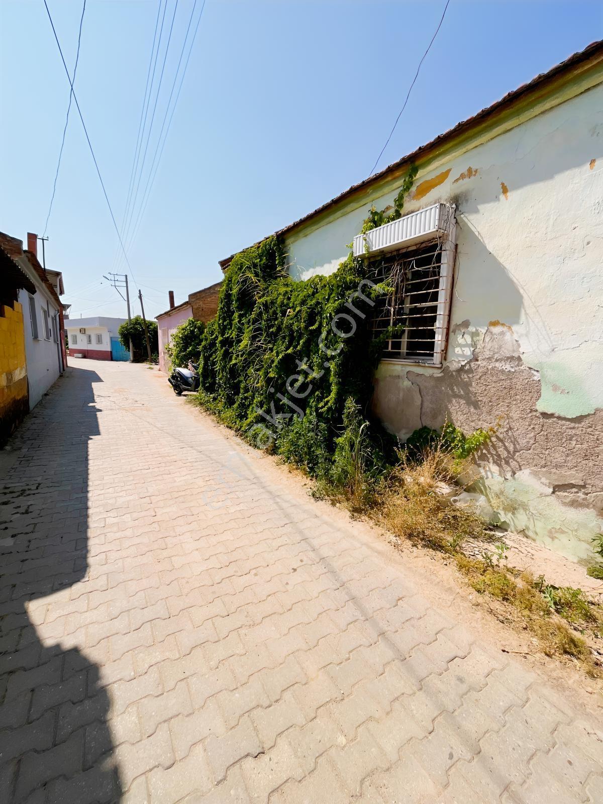 |şehir'den|bereketli Köy İçinde 406m2 Bahçeli Ev — fotoğraf 5