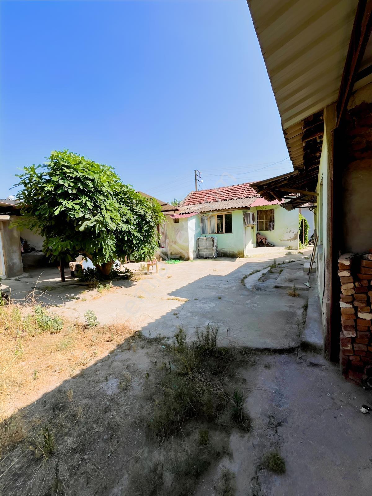|şehir'den|bereketli Köy İçinde 406m2 Bahçeli Ev — fotoğraf 15