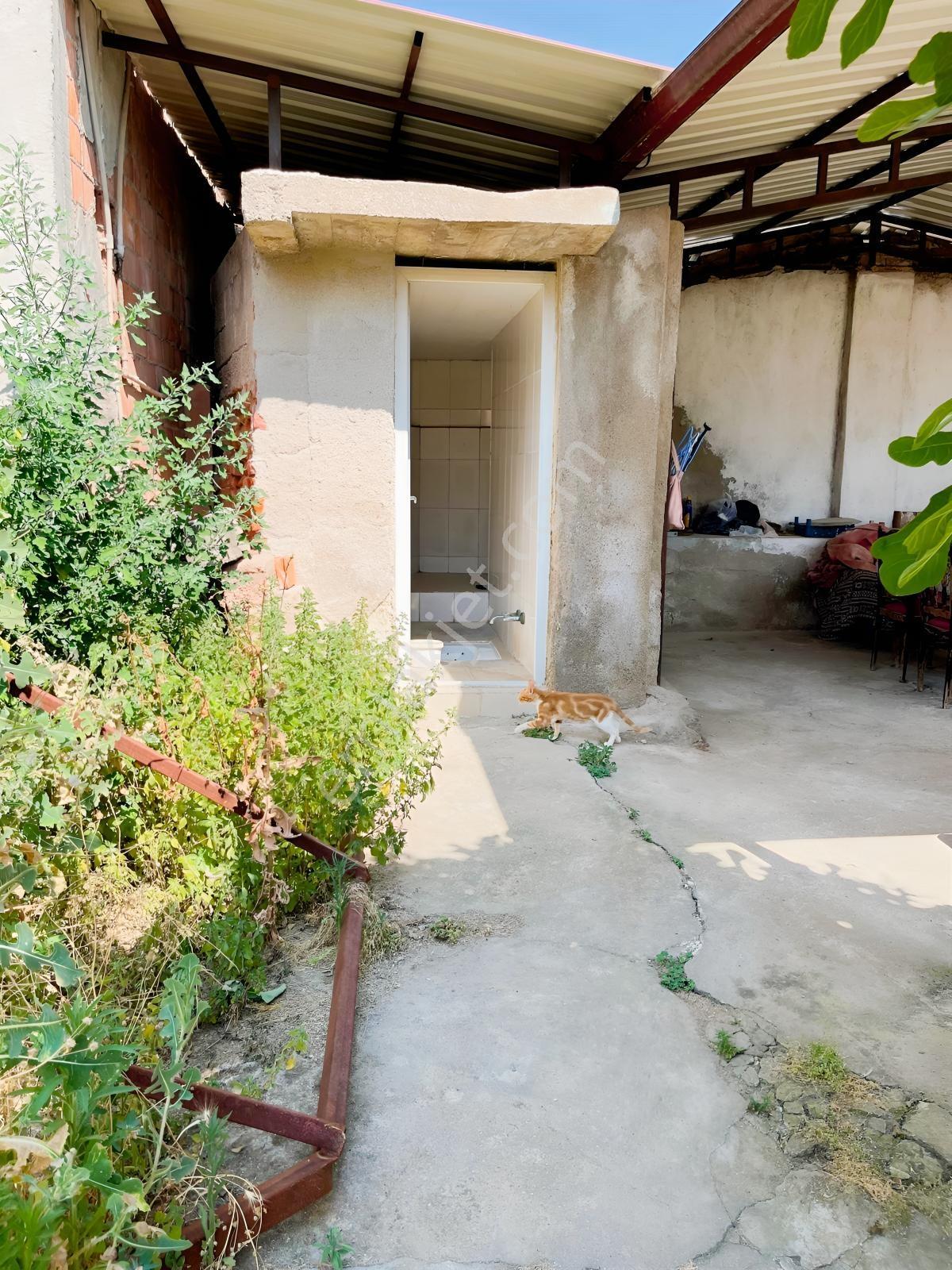 |şehir'den|bereketli Köy İçinde 406m2 Bahçeli Ev — fotoğraf 17