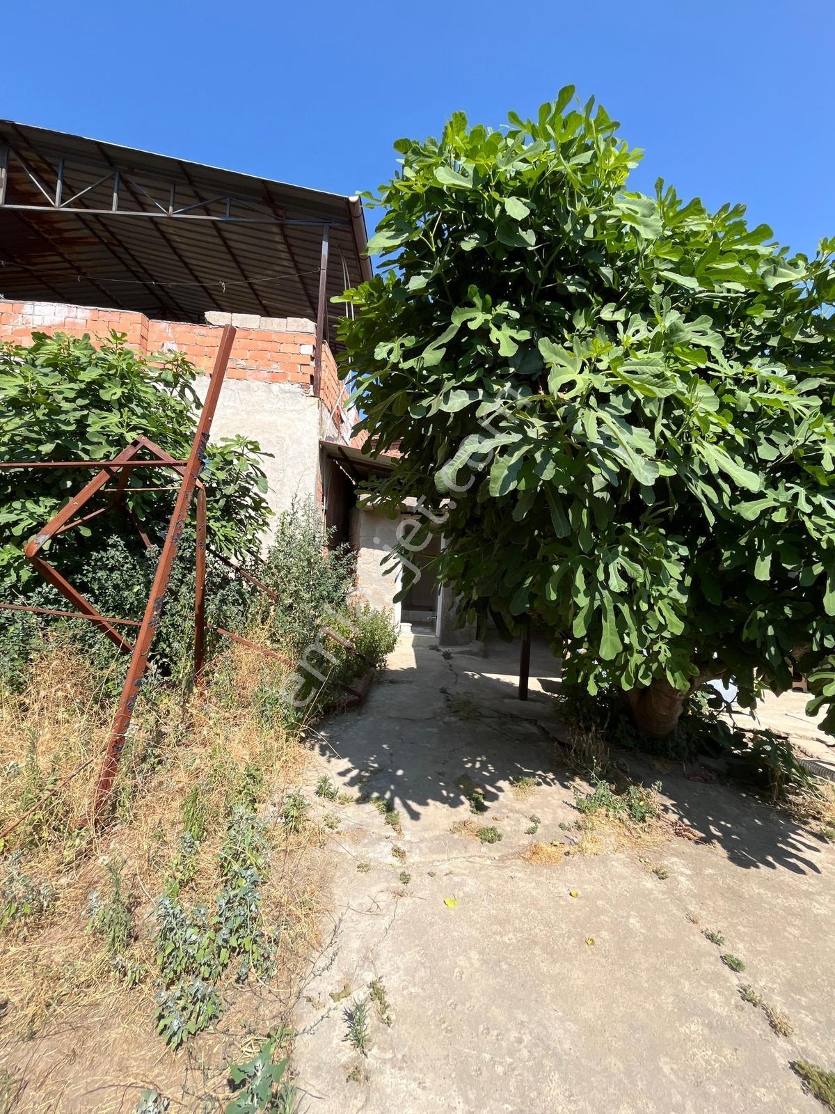 |şehir'den|bereketli Köy İçinde 406m2 Bahçeli Ev — fotoğraf 25