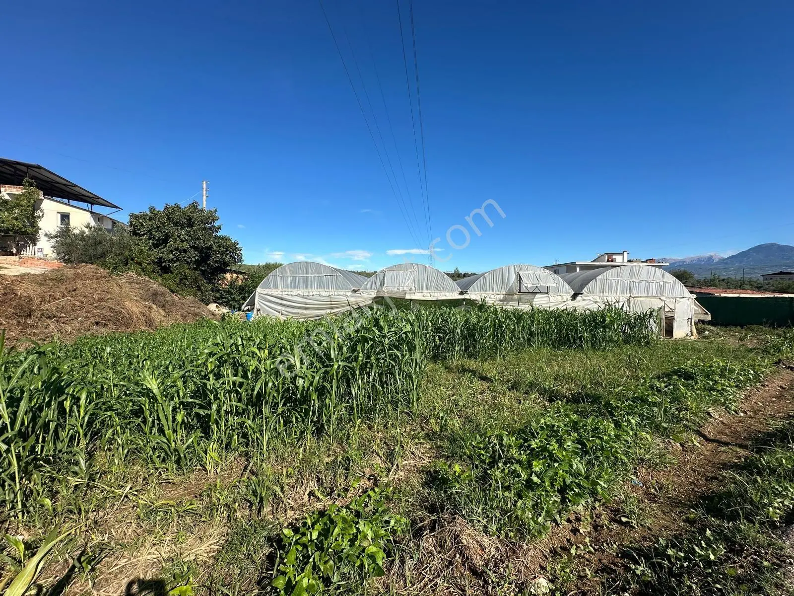 Muğla Seydikemer Alaçat’ta İmarlı 2.006 M² Satılık Arazi! — fotoğraf 17