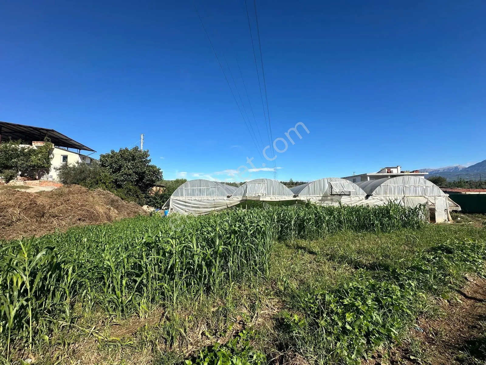 Muğla Seydikemer Alaçat’ta İmarlı 2.006 M² Satılık Arazi! — fotoğraf 18