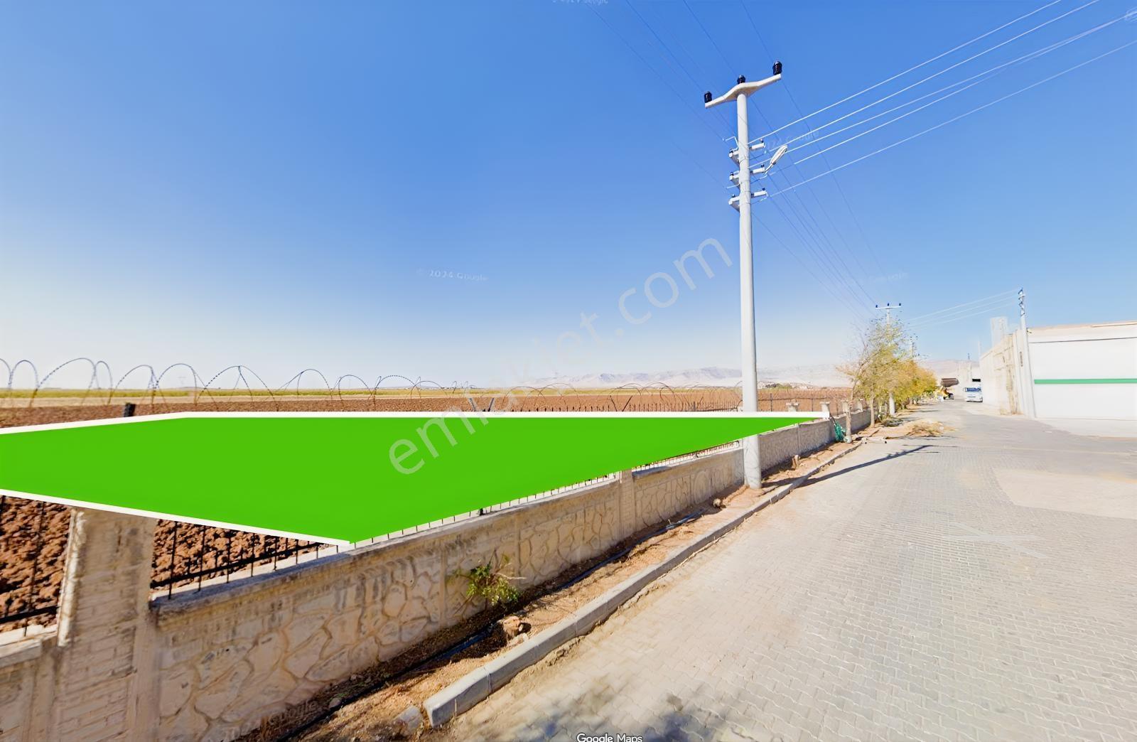 Mardin Kızıltepe Buğday Pazarı Dibinde Satılık Tarla — fotoğraf 3