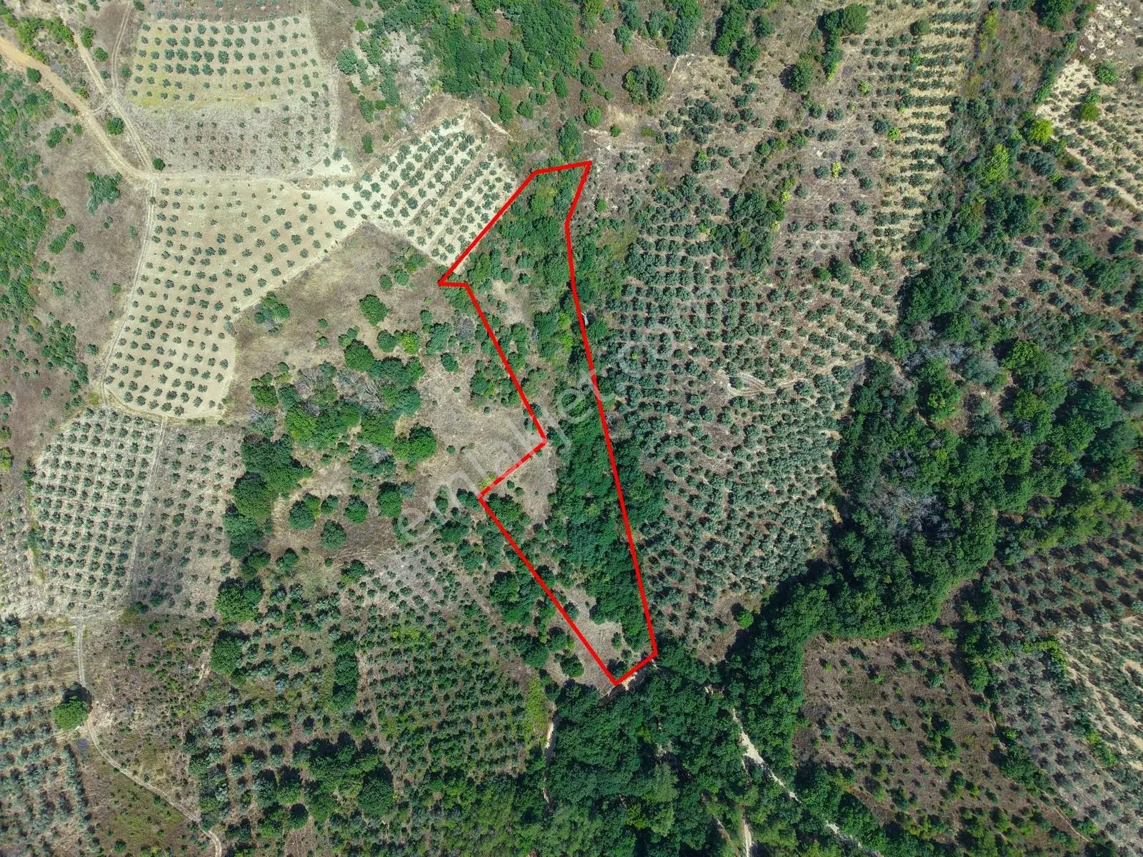 Sarıağıl'da Resmi Yola Cepheli Olan En Ucuz Tarla 6234 M2 — fotoğraf 2