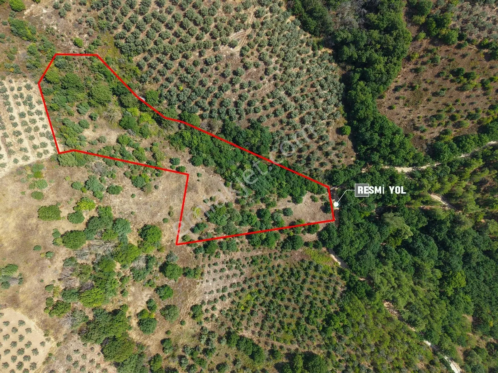 Sarıağıl'da Resmi Yola Cepheli Olan En Ucuz Tarla 6234 M2 — fotoğraf 3