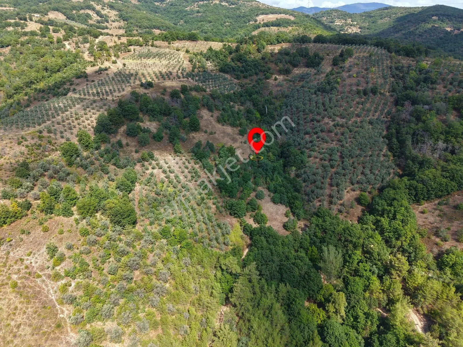 Sarıağıl'da Resmi Yola Cepheli Olan En Ucuz Tarla 6234 M2 — fotoğraf 4